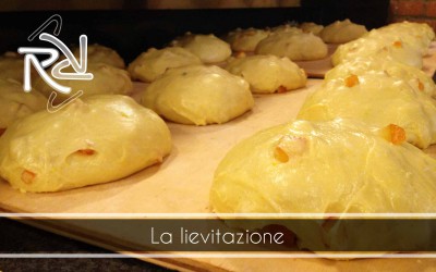 Le colombe artigianali della tradizione sono in preparazione nel nostro ristorante in provincia di Como!